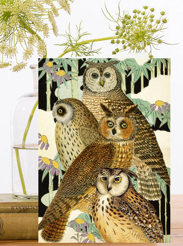 Owls Blank Greeting Card