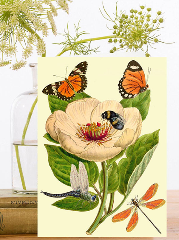 Butterfly Flower Blank Greeting Card - Belle De Provence