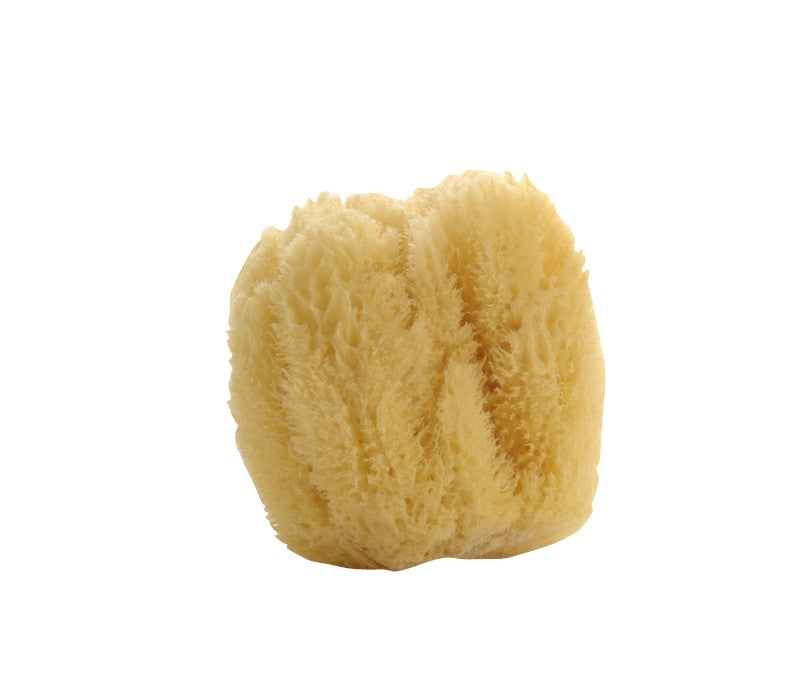 Natural Sea Sponge - Belle De Provence